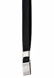 Lanyard Image Economy